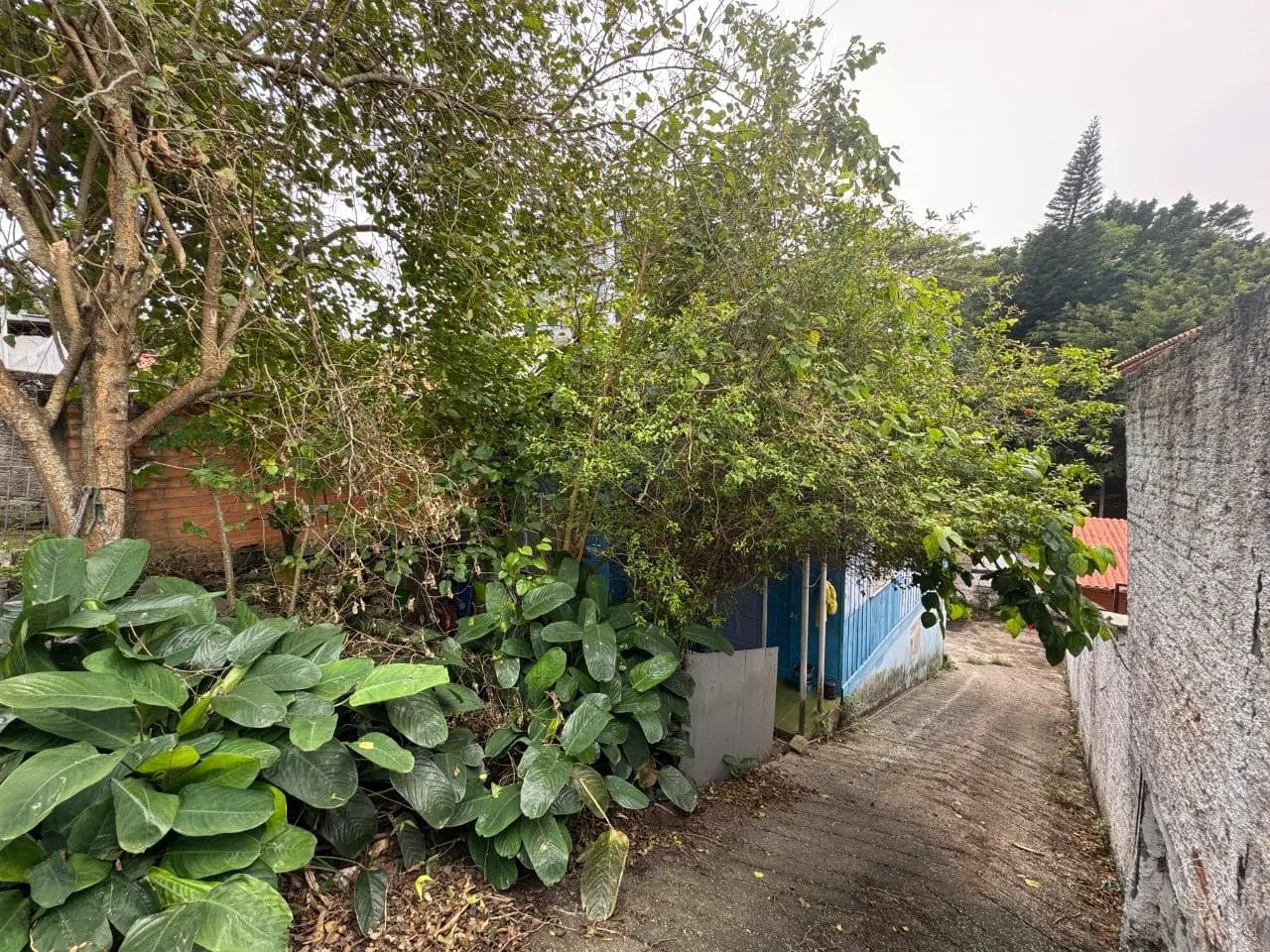 Terreno para venda em Coqueiros com 200 m² — foto 3
