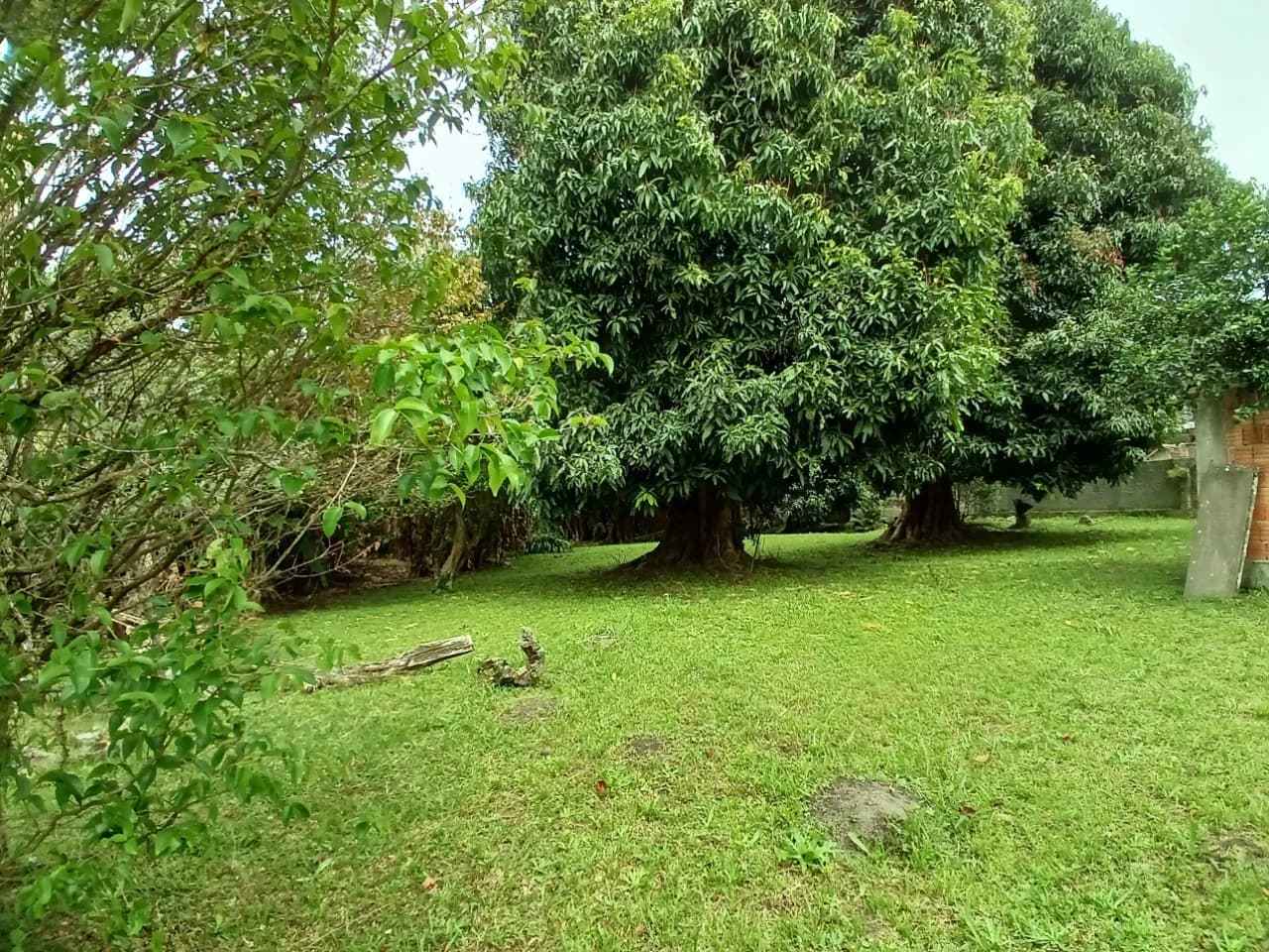 Terreno para venda em Centro com 1389 m² — foto principal
