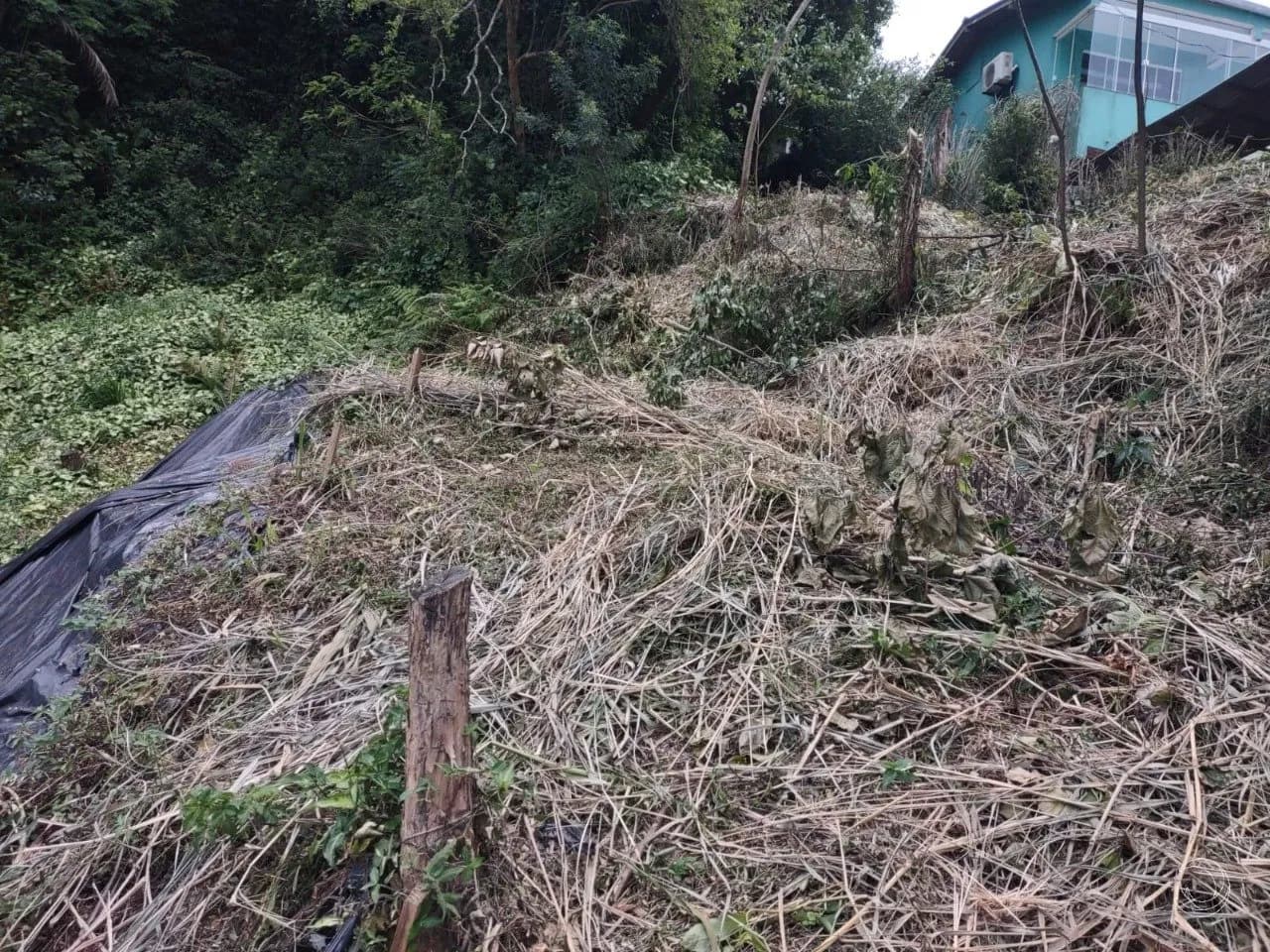 Terreno para venda em Saco Dos Limões com 379 m² — foto 4