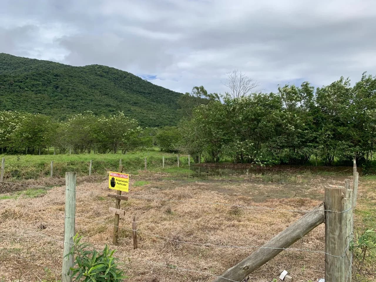 Terreno para venda em Ribeirão da Ilha com 450 m² — foto 3