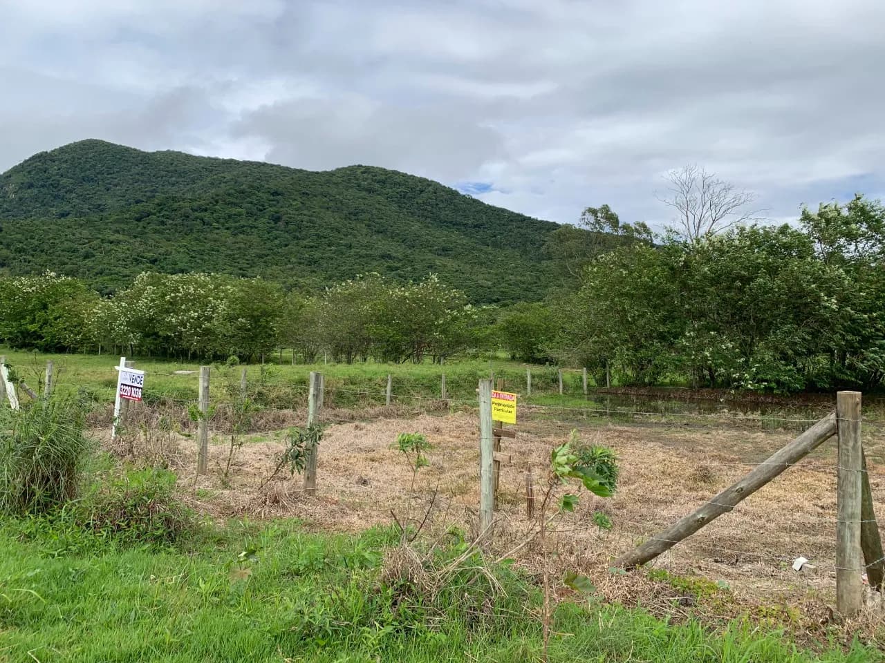 Terreno para venda em Ribeirão da Ilha com 450 m² — foto 4