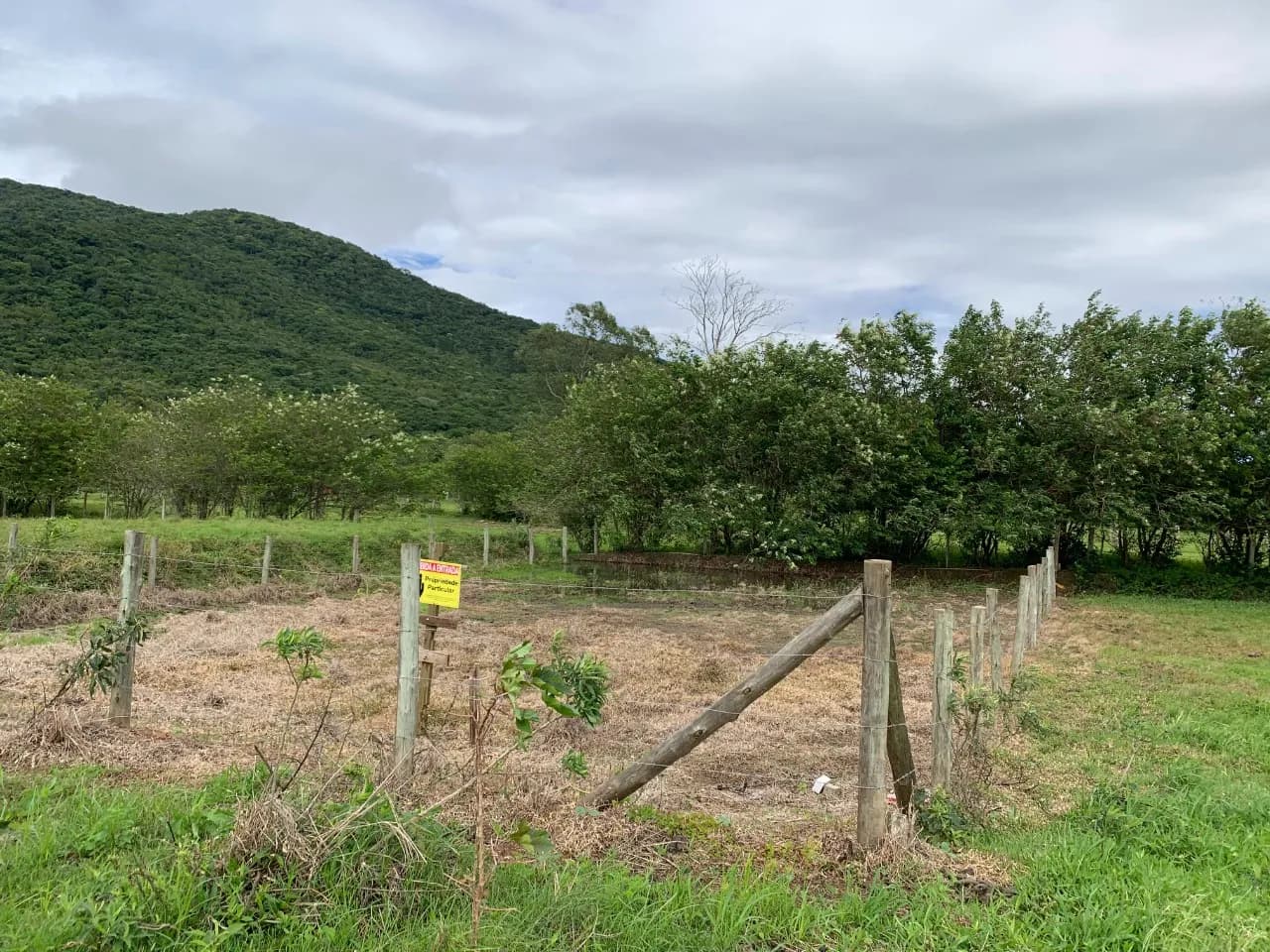 Terreno para venda em Ribeirão da Ilha com 450 m² — foto 5