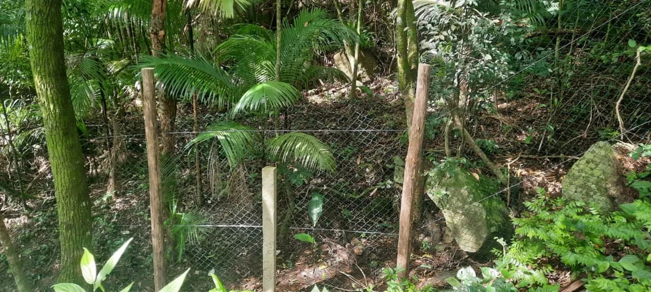 Terreno para venda em Pântano Do Sul com 4320 m² — foto 3