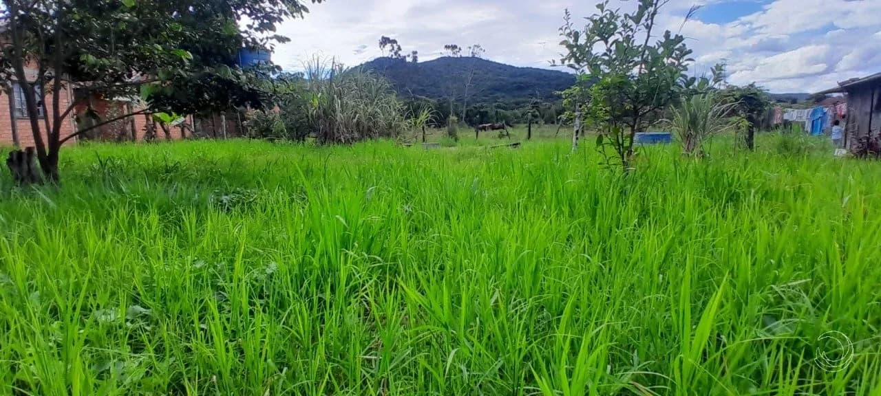 Terreno para venda em Ratones com 5280 m² — foto 5