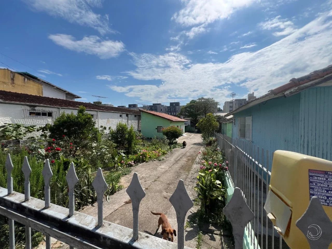Terreno para venda em Capoeiras com 625 m² — foto 3