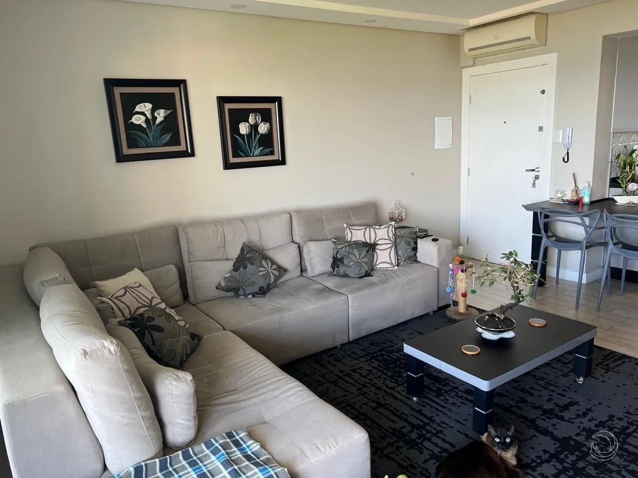 Apartamento para venda com 3 dormitórios em Canasvieiras com 135 m² — foto 3