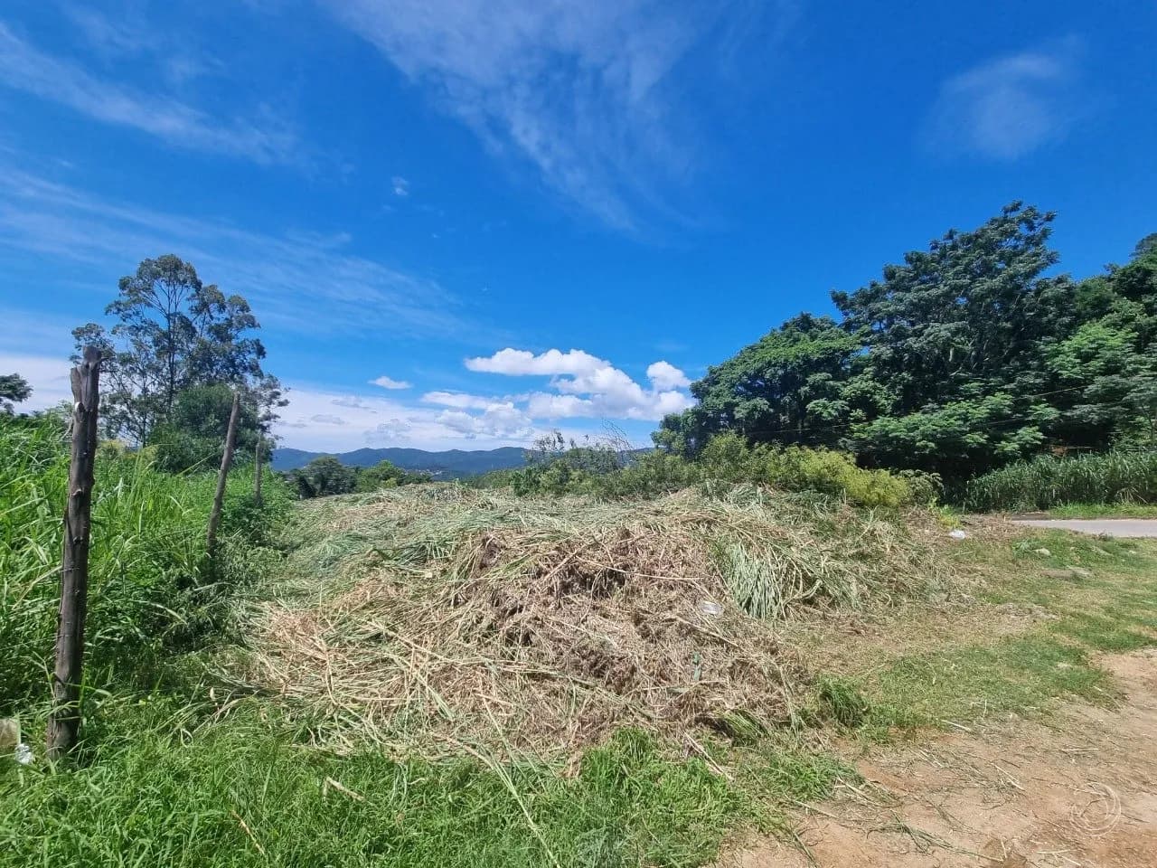 Terreno para venda em Agronômica com 668 m² — foto 2