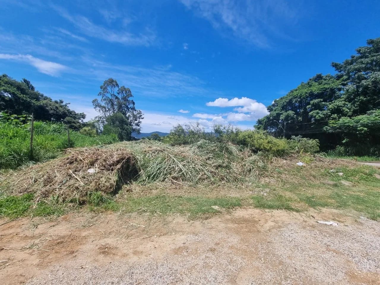 Terreno para venda em Agronômica com 668 m² — foto 3
