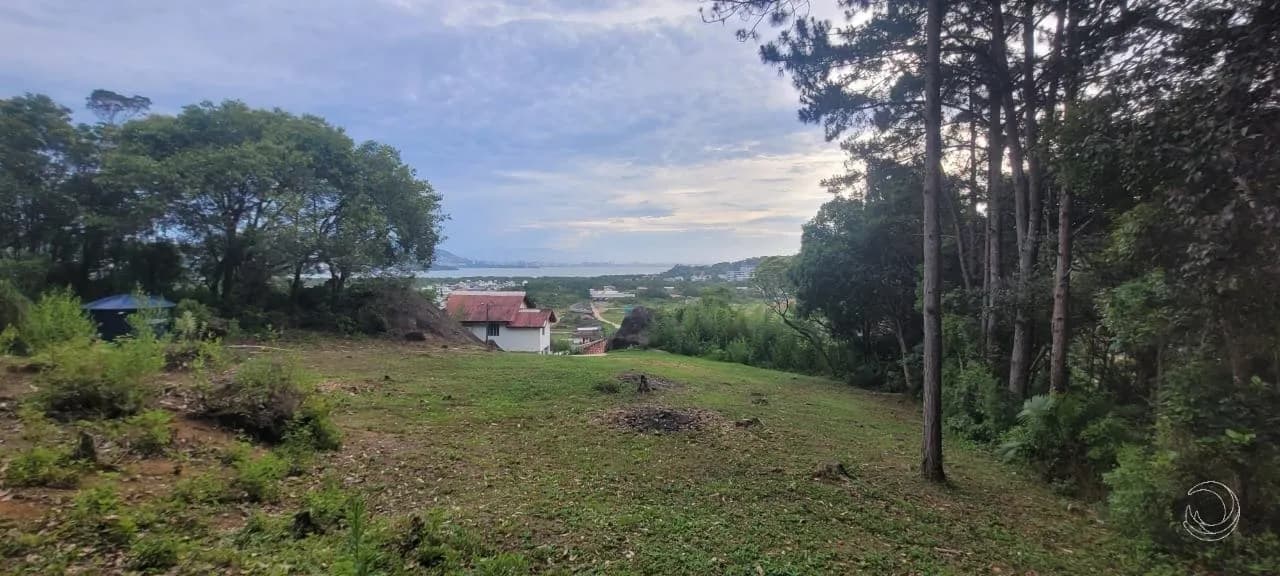Terreno para venda em Saco Grande com 7804 m² — foto 5