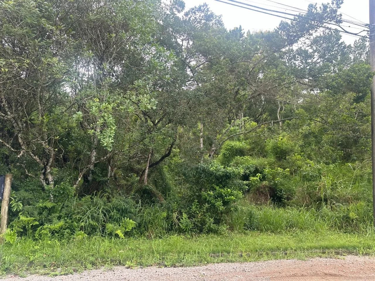Terreno para venda em Joao Paulo com 1675 m² — foto 5