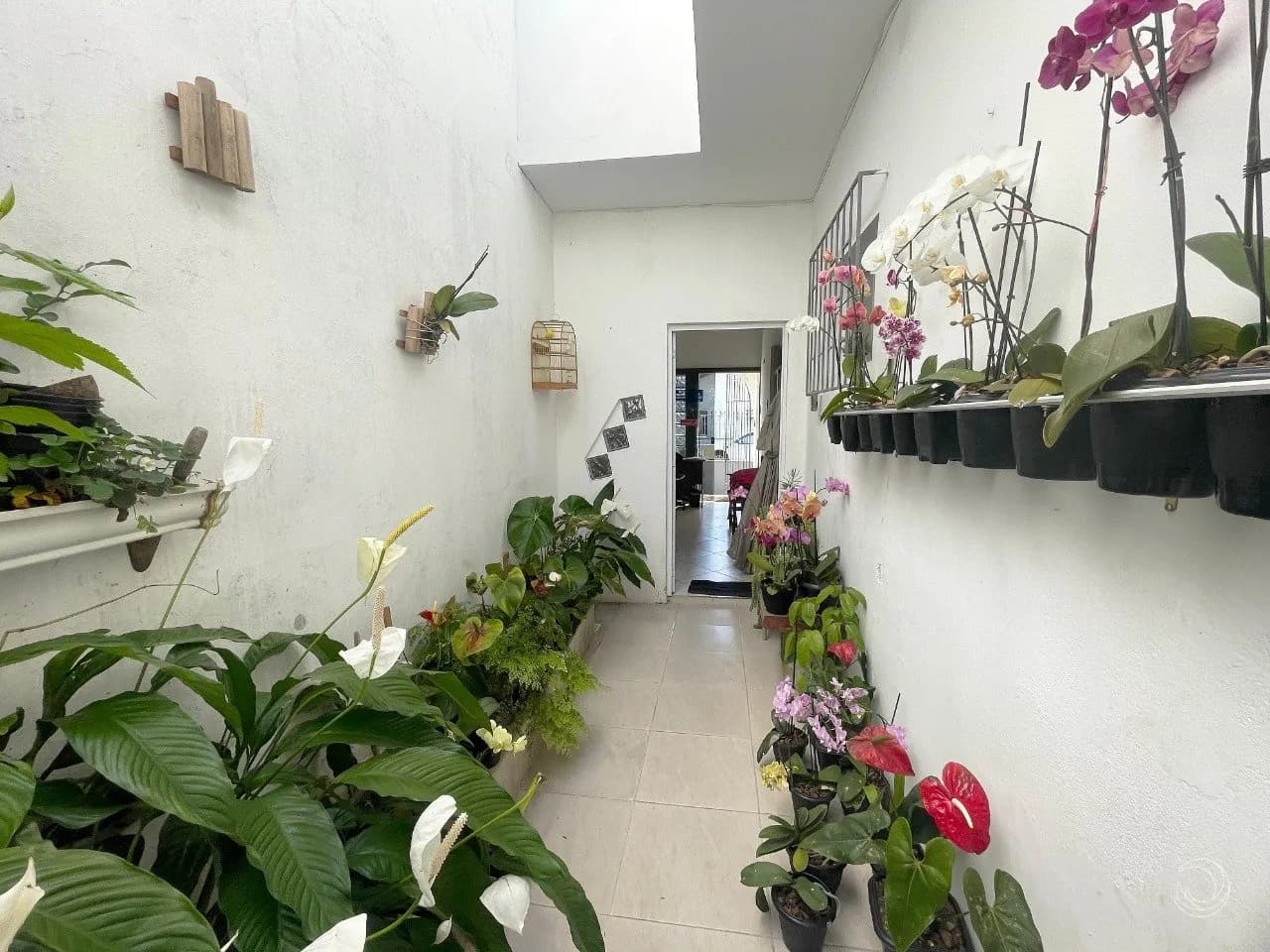 Casa para venda com 2 dormitórios em Estreito com 159 m² — foto principal