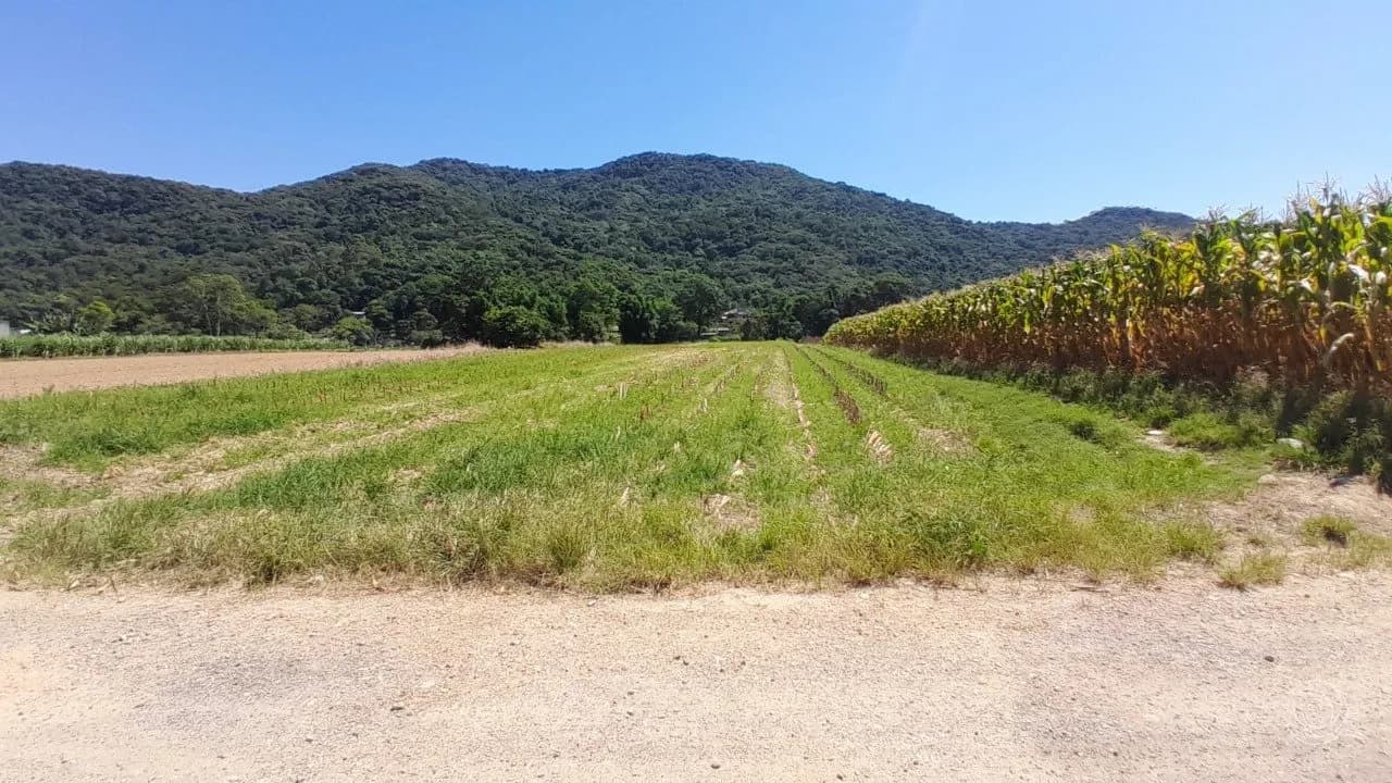 Terreno para venda em Sul Do Rio com 11089 m²