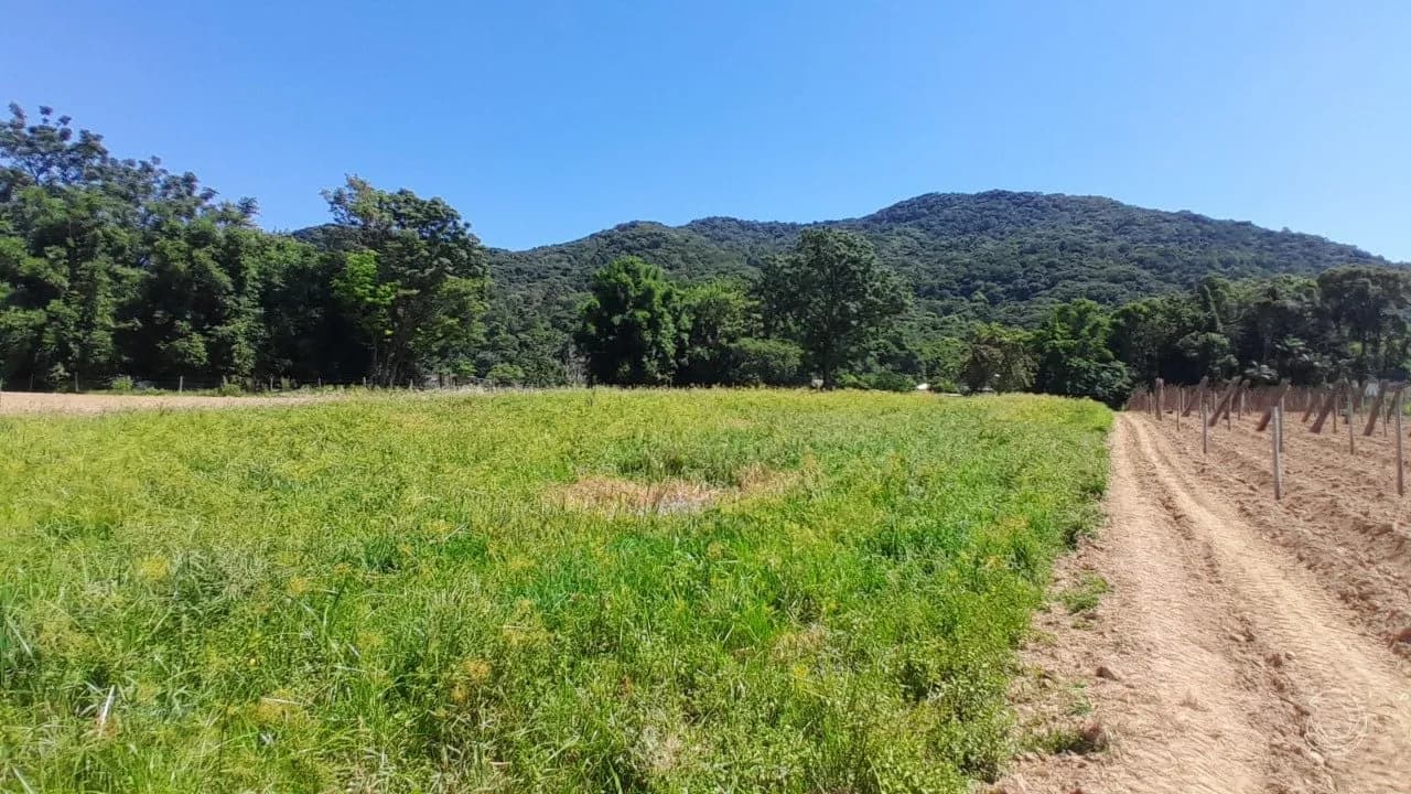 Terreno para venda em Sul Do Rio com 11089 m² — foto 2