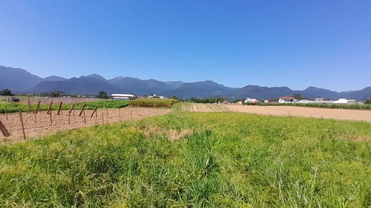 Terreno para venda em Sul Do Rio com 11089 m² — foto 3