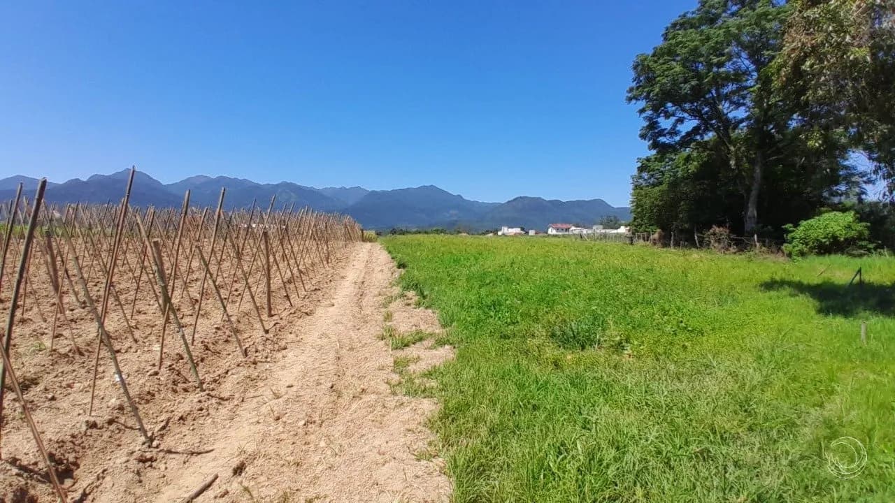 Terreno para venda em Sul Do Rio com 11089 m² — foto 5