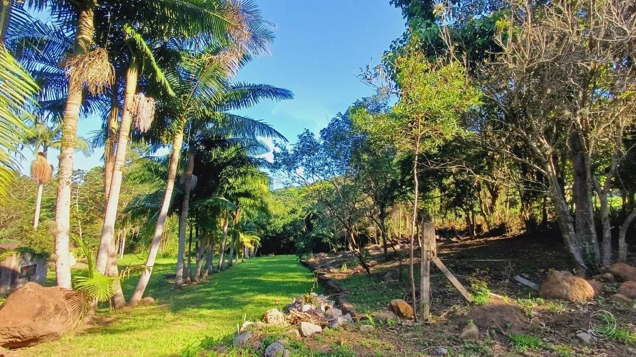 Terreno para venda em Encantada com 1528 m² — foto 4