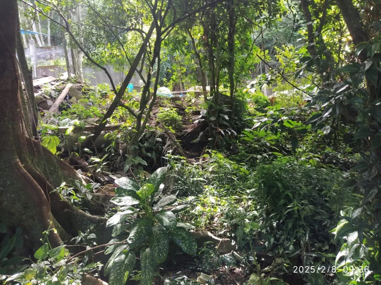 Terreno para venda em Ribeirão da Ilha com 598 m² — foto 4