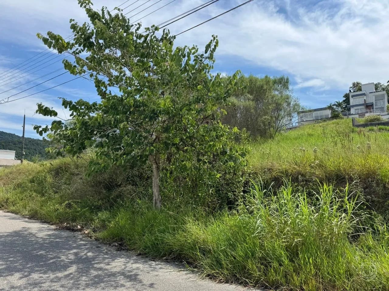 Terreno para venda em Pedra Branca com 437 m² — foto 2