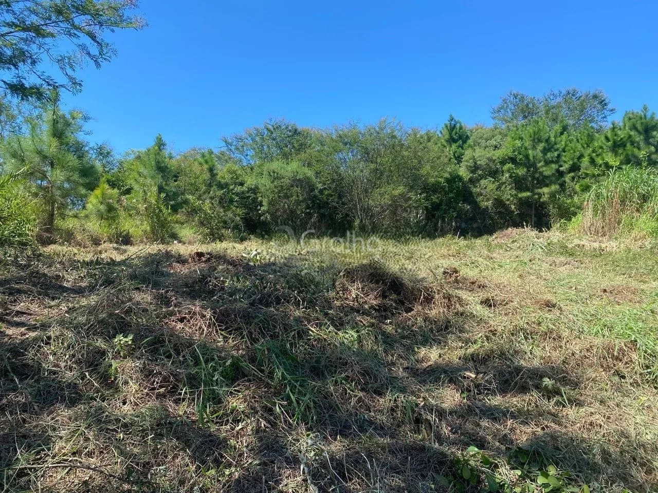 Terreno para venda em Rocado com 455 m²