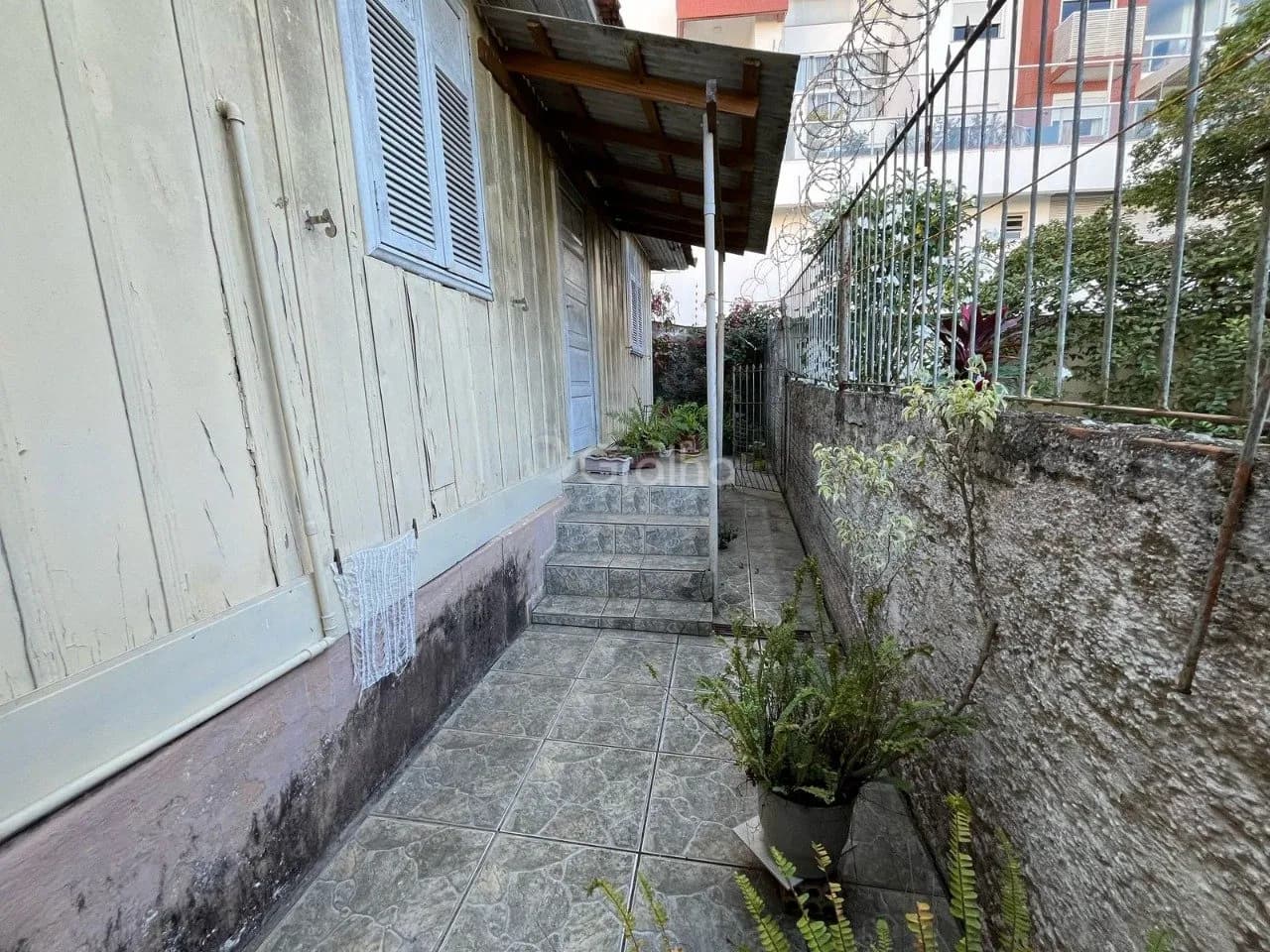 Terreno para venda em Agronômica com 165 m² — foto 4