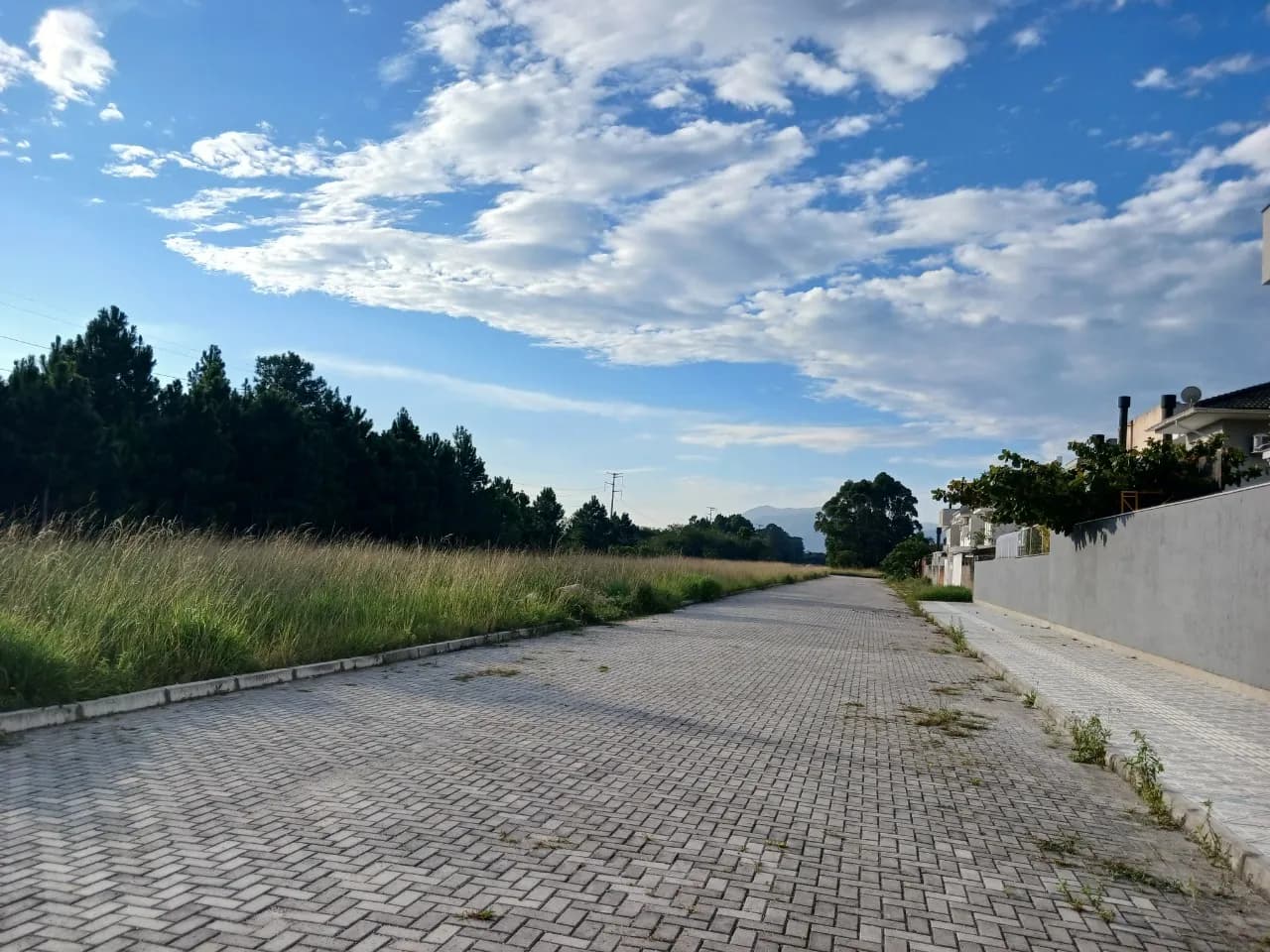 Terreno para venda em Ribeirão da Ilha com 865 m² — foto 2
