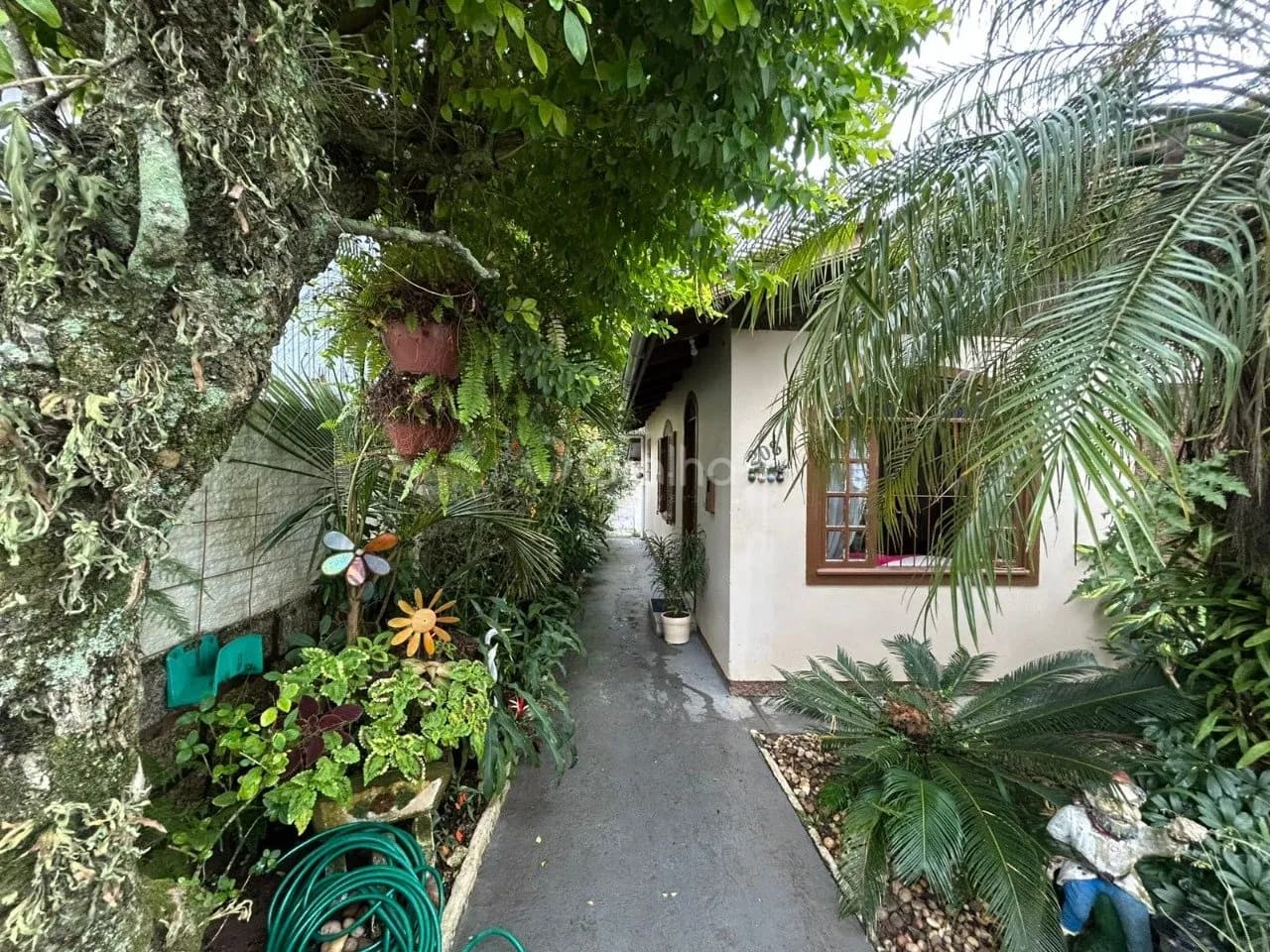 Terreno para venda em Trindade com 300 m² — foto 4