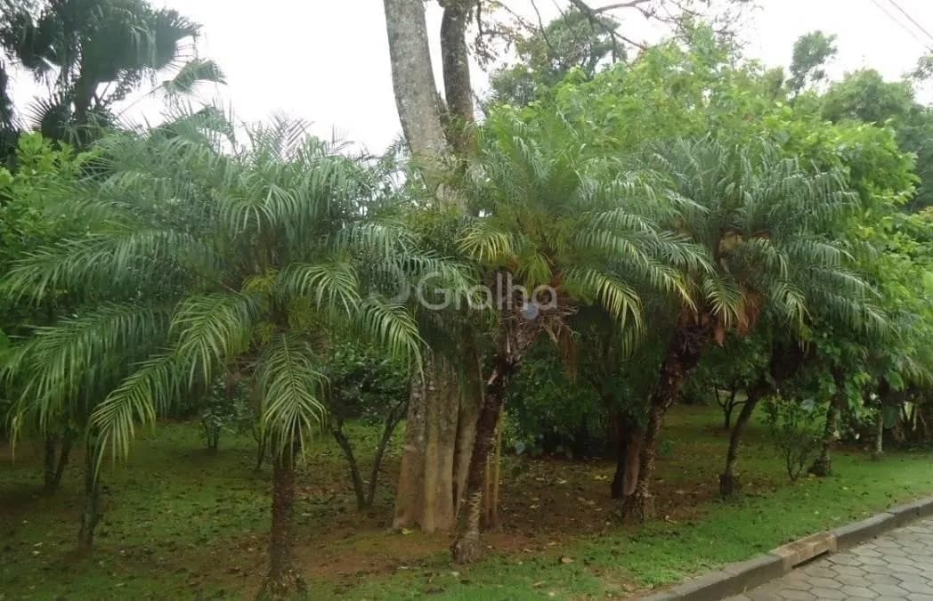 Terreno para venda em Sambaqui com 1435 m² — foto 5