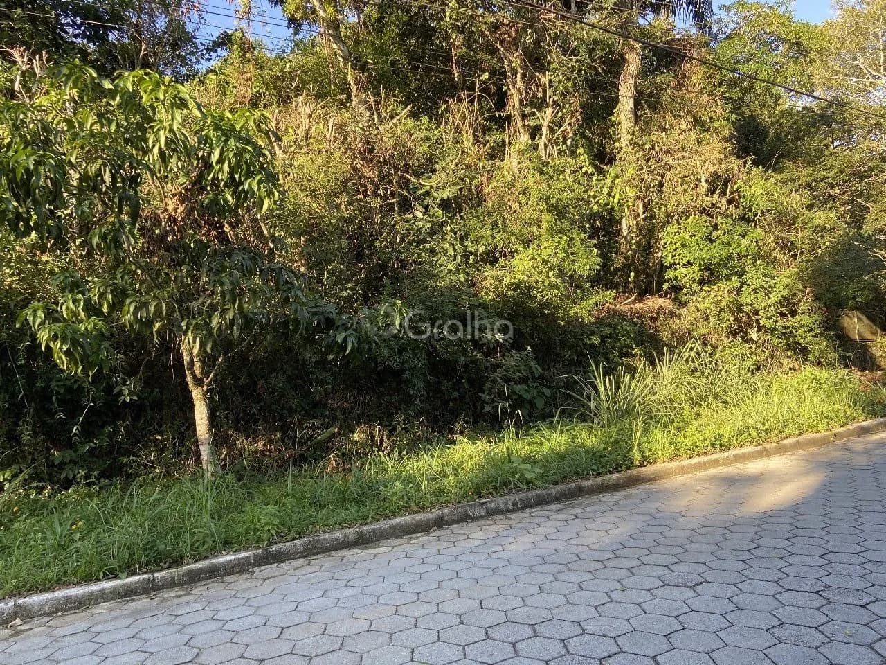 Terreno para venda em Pantanal com 33000 m² — foto principal