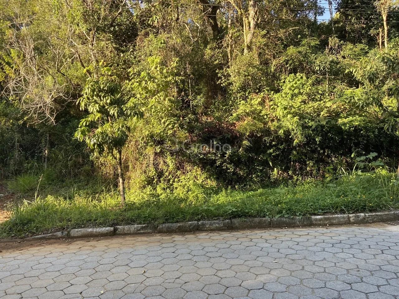 Terreno para venda em Pantanal com 33000 m² — foto 2