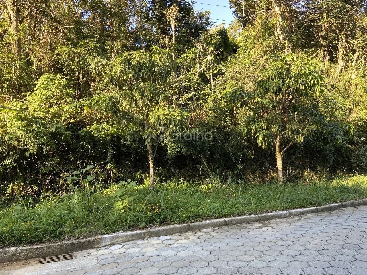 Terreno para venda em Pantanal com 33000 m² — foto 4