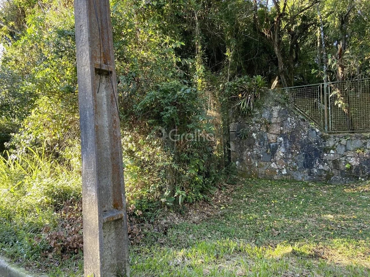 Terreno para venda em Pantanal com 33000 m² — foto 5