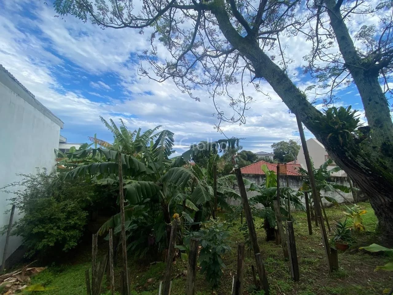 Terreno para venda em Bom Abrigo com 329 m² — foto principal