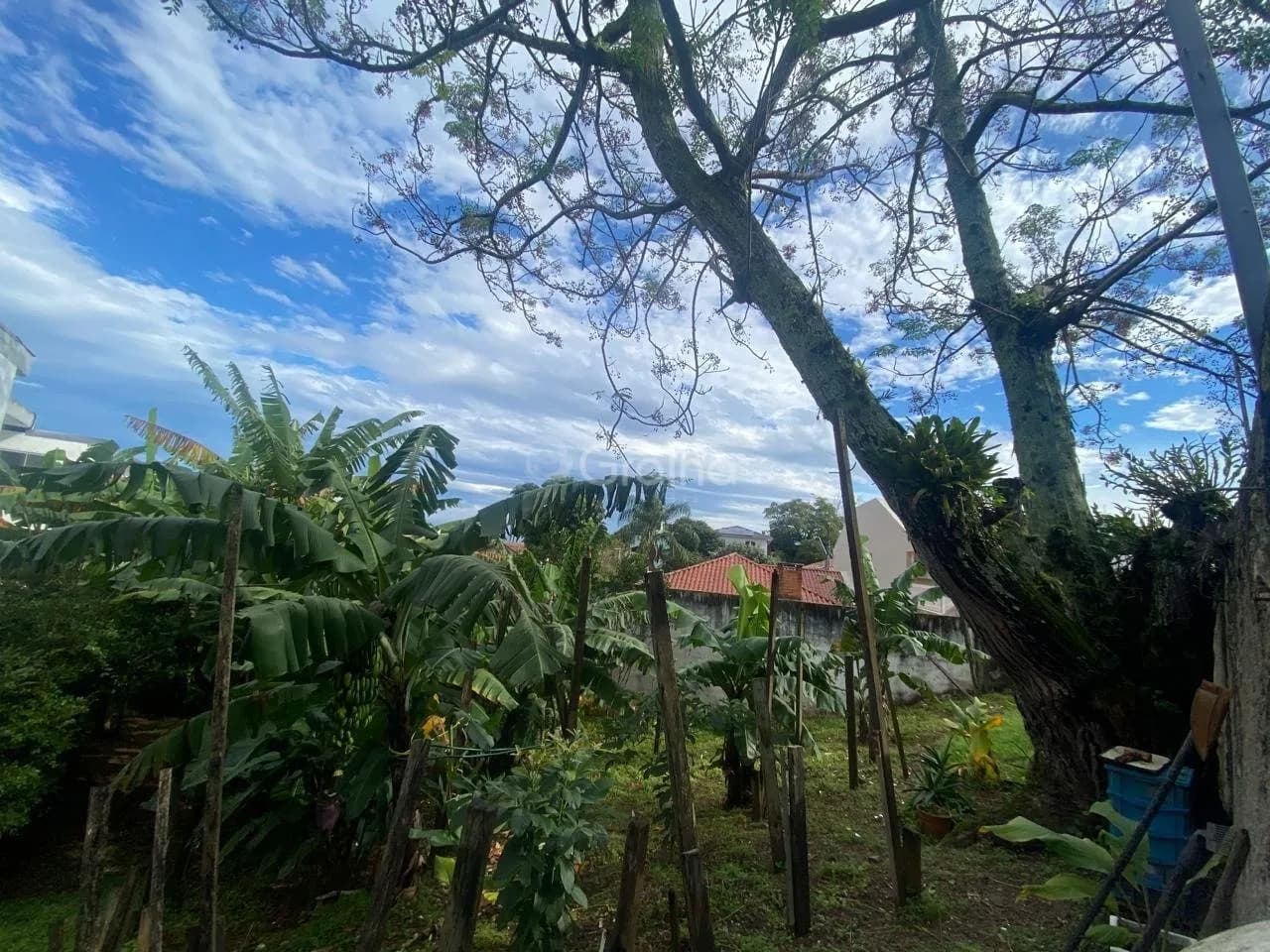 Terreno para venda em Bom Abrigo com 329 m² — foto 2