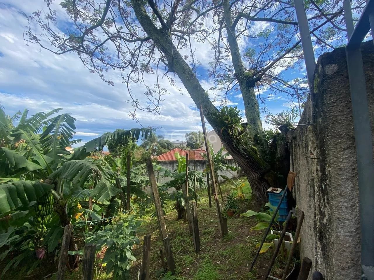 Terreno para venda em Bom Abrigo com 329 m² — foto 3