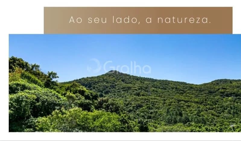 Apartamento para venda com 3 dormitórios em MONTE VERDE com 99 m² — foto 2