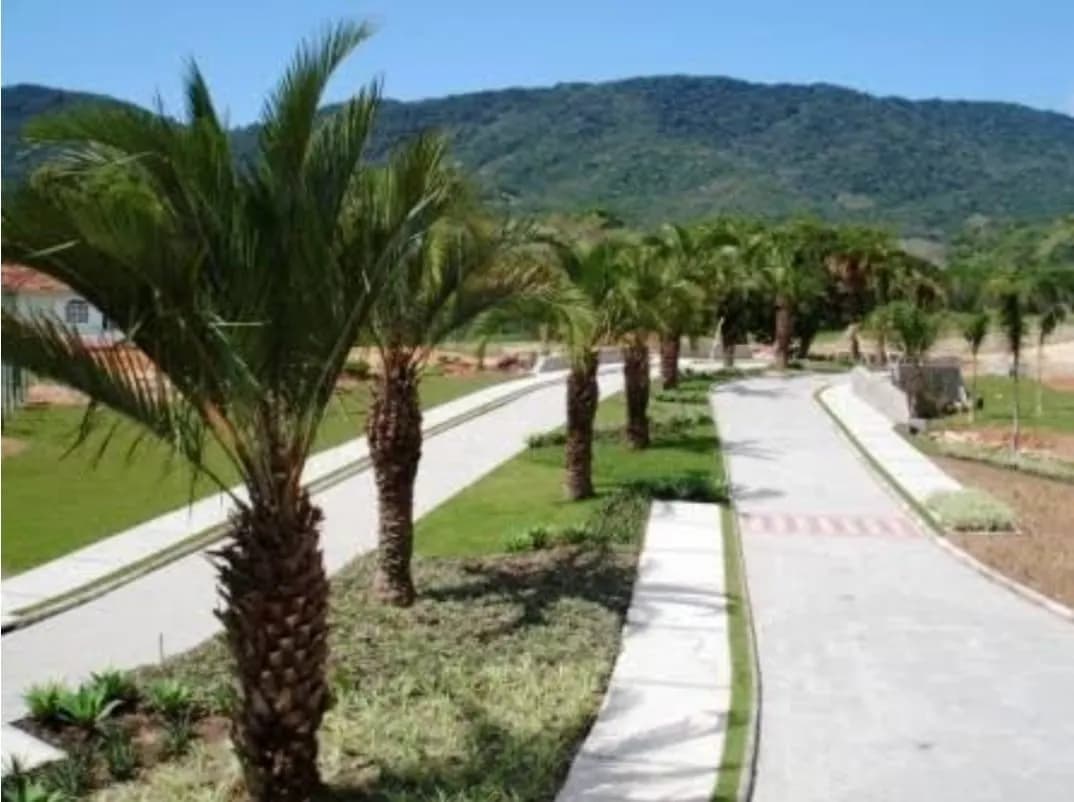 Terreno para venda em Ribeirão da Ilha com 457 m² — foto 3