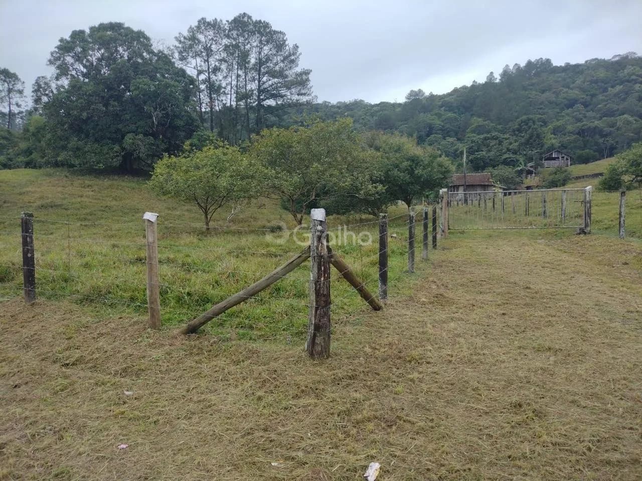 Terreno para venda em Três Riachos com 52947 m² — foto principal
