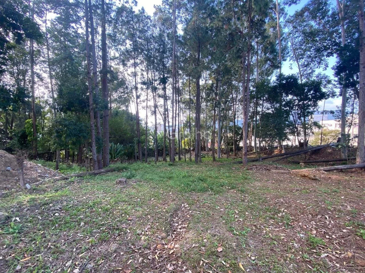 Terreno para venda em Pantanal com 1500 m² — foto 4