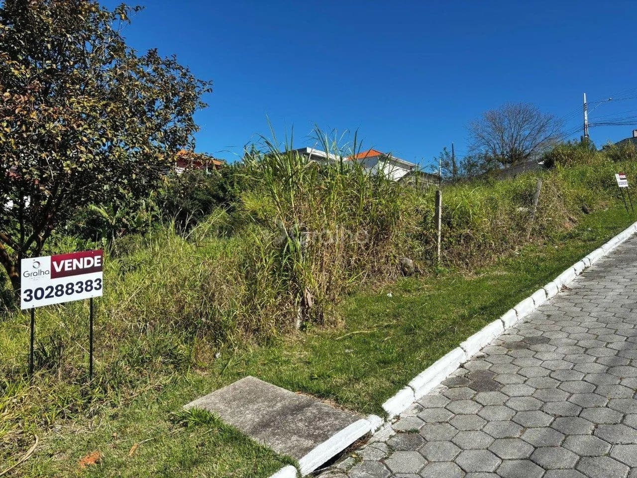 Terreno para venda em Picadas Do Sul com 543 m² — foto 2