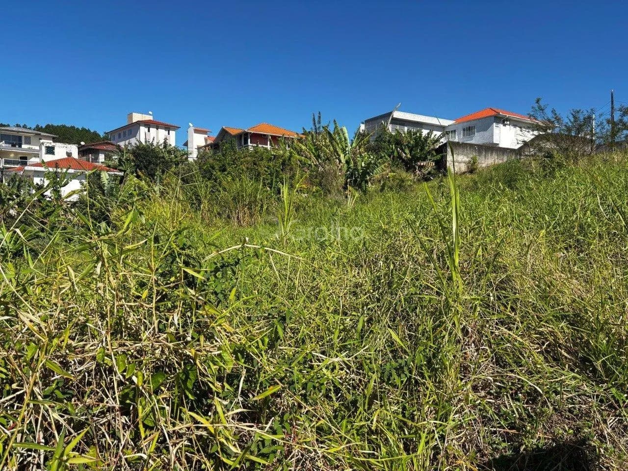 Terreno para venda em Picadas Do Sul com 543 m² — foto 3