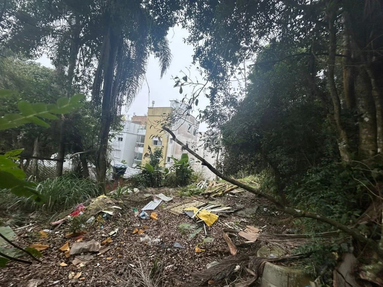 Terreno para venda em Coqueiros com 322 m² — foto 2