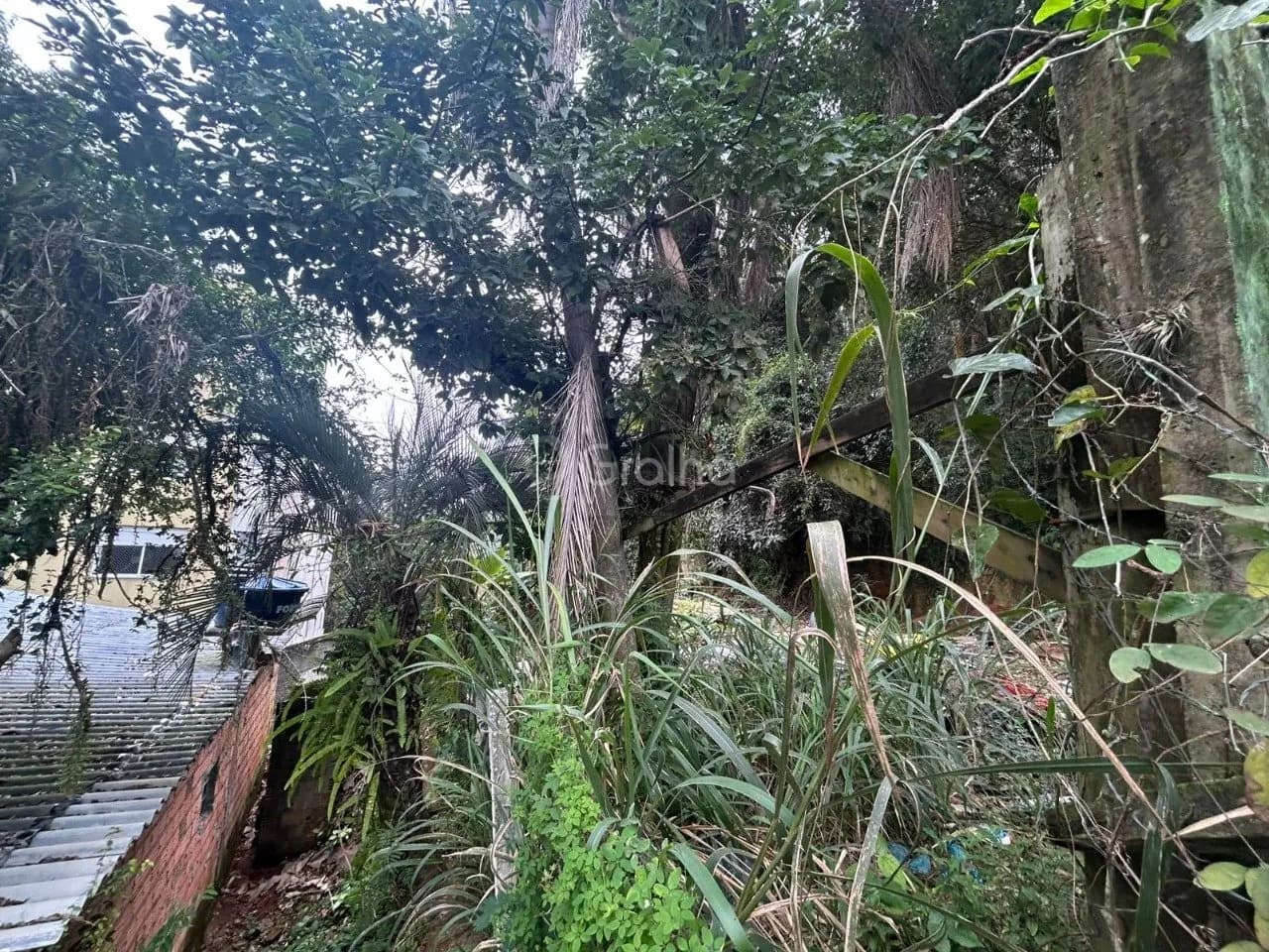 Terreno para venda em Coqueiros com 322 m² — foto 4