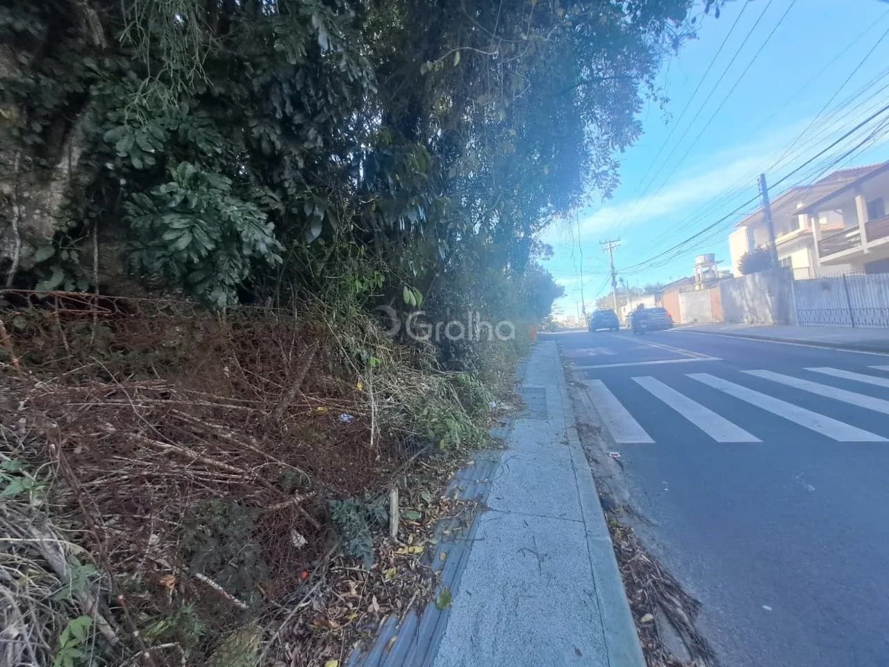 Terreno para venda em Lagoa Da Conceição com 6991 m² — foto principal