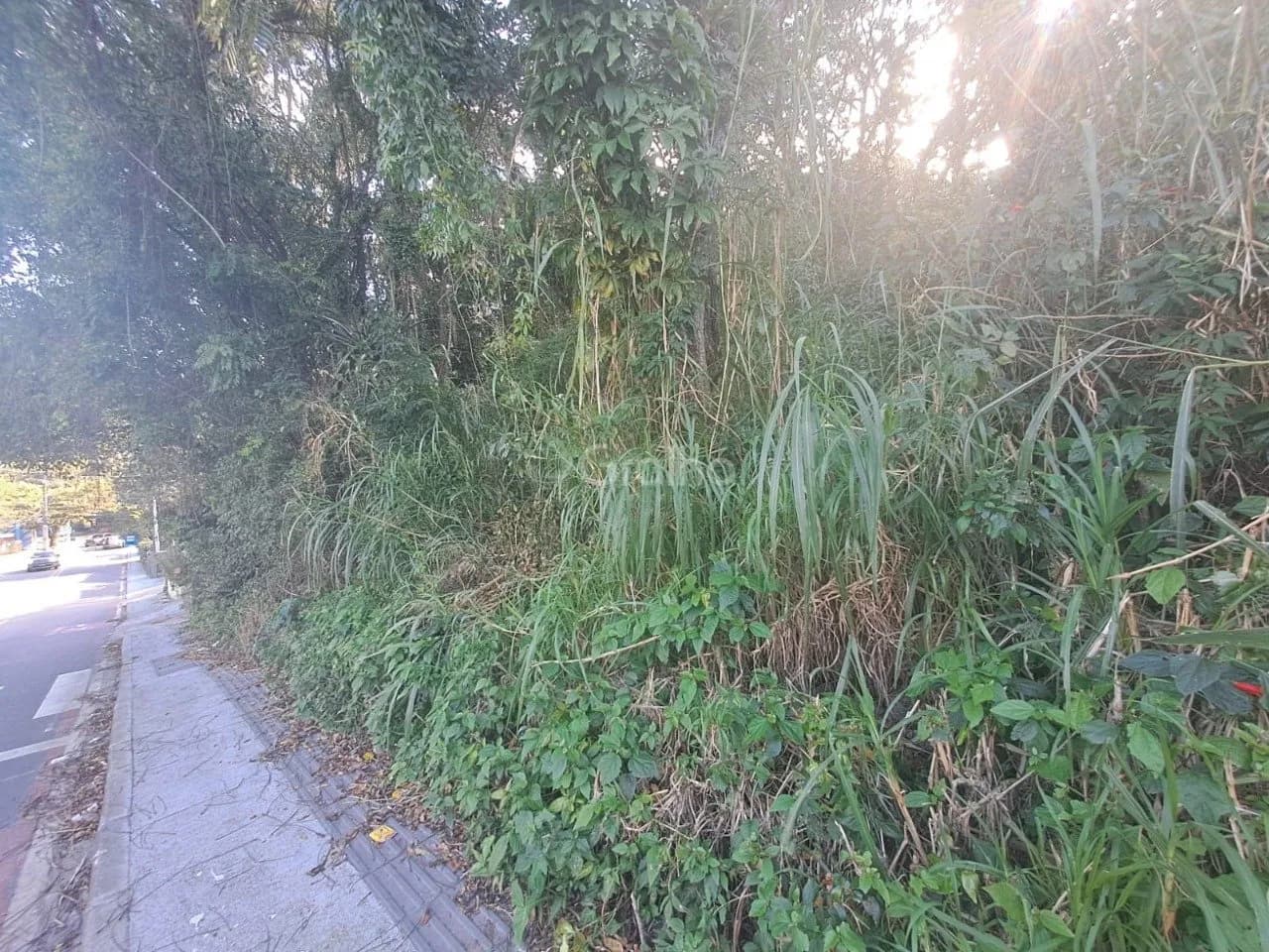 Terreno para venda em Lagoa Da Conceição com 6991 m² — foto 3