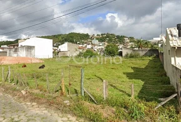 Terreno para venda em Fazenda Santo Antonio com 869 m² — foto 2