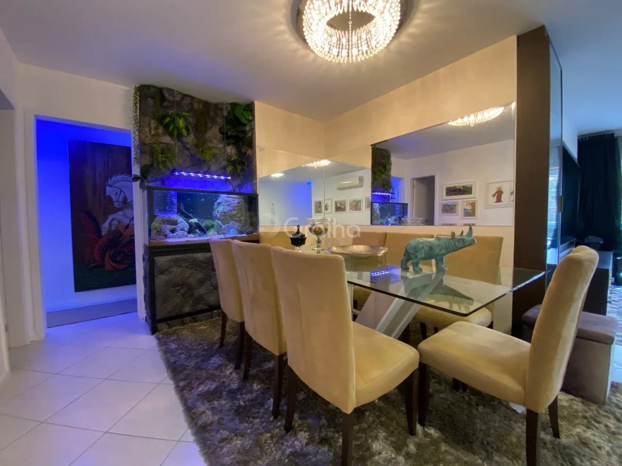 Apartamento para venda com 4 dormitórios em Agronômica com 145 m² — foto 5