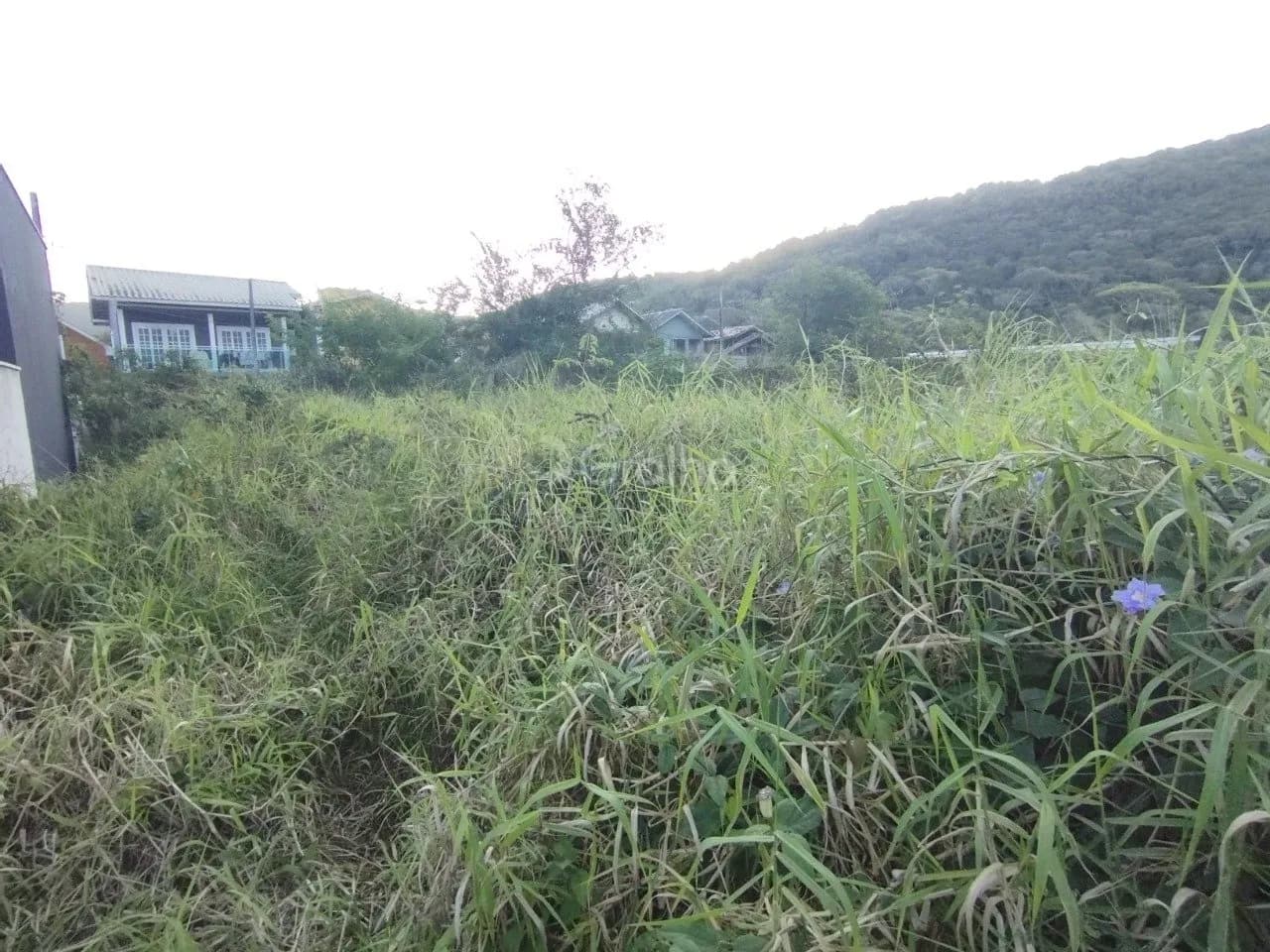 Terreno para venda em Lagoa Da Conceição com 573 m² — foto principal