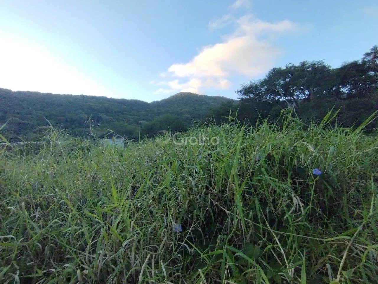 Terreno para venda em Lagoa Da Conceição com 573 m² — foto 3