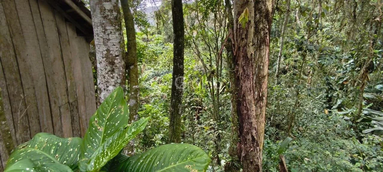 Terreno para venda em Pantanal com 6284 m² — foto 2