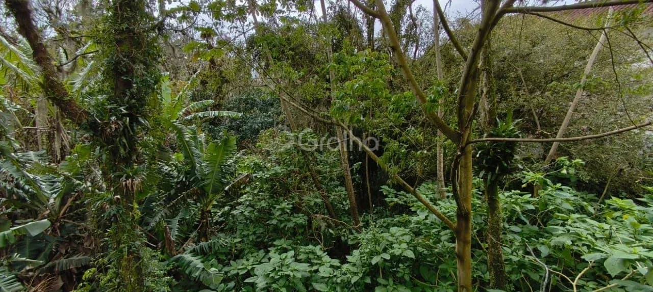 Terreno para venda em Pantanal com 6284 m² — foto 3